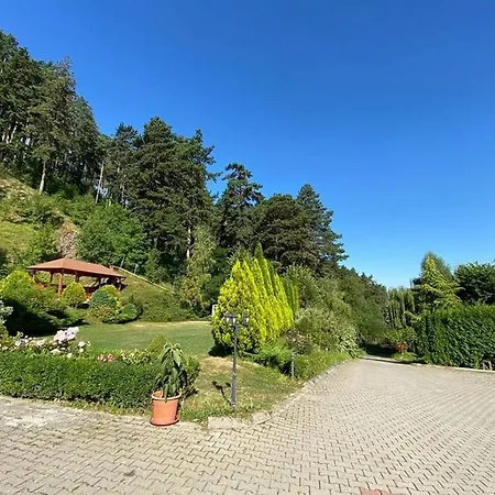 Bellavista Brasov Guest house Sacele